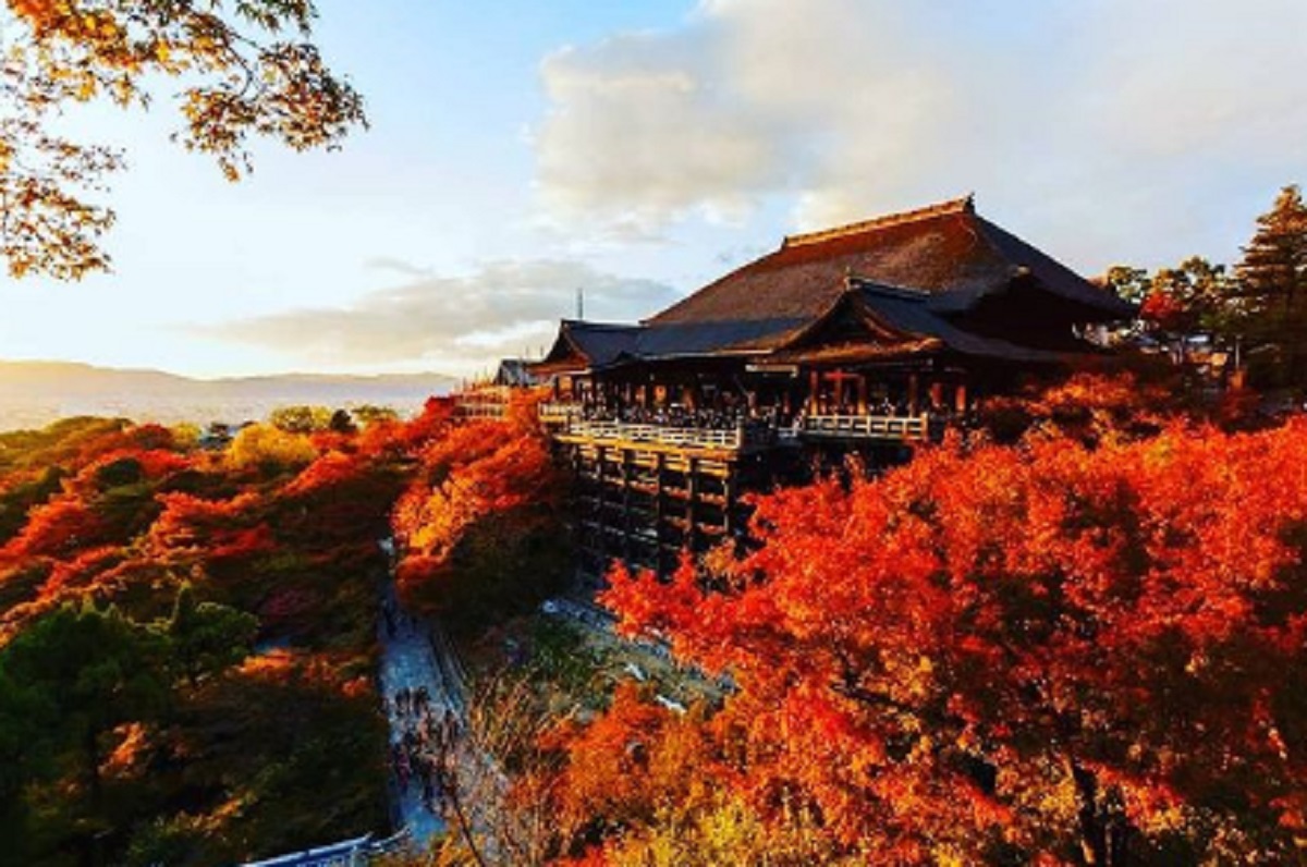 14 planes que puedes hacer en Kioto, Japón