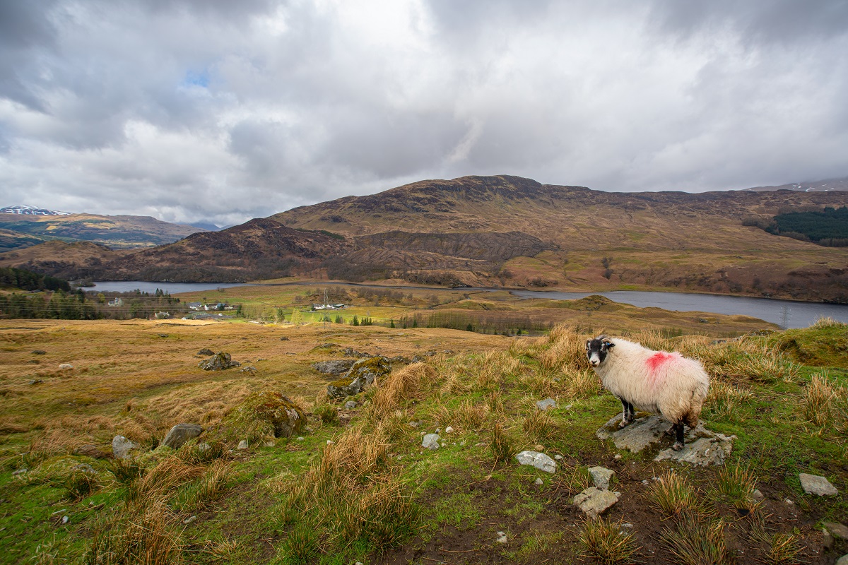El sendero costero Wester Ross: hermoso camino en Escocia