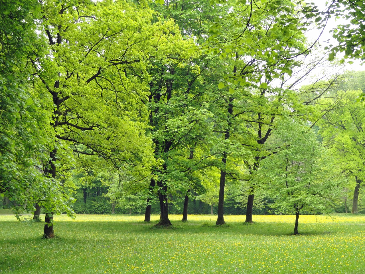 Los 10 parques nacionales más bellos de Alemania