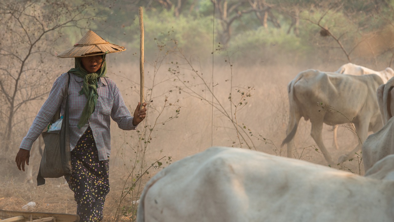 Los 10 mejores lugares para visitar en Myanmar