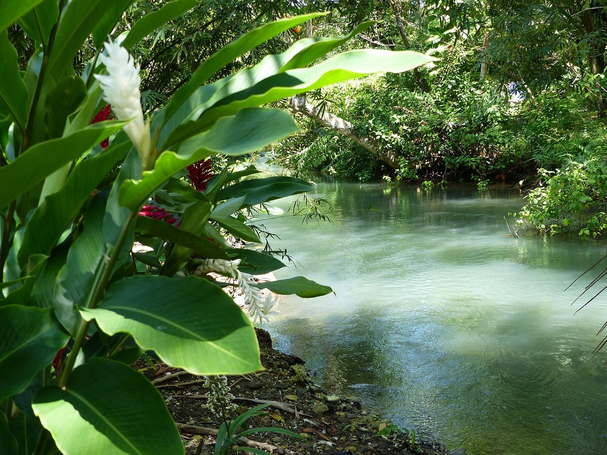 Port Antonio en Jamaica: todo lo que podemos visitar