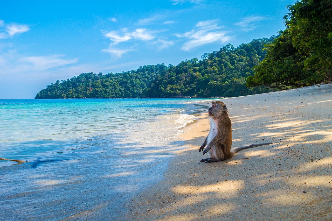 Las islas más bonitas de Tailandia: qué isla elegir para sus vacaciones en la playa