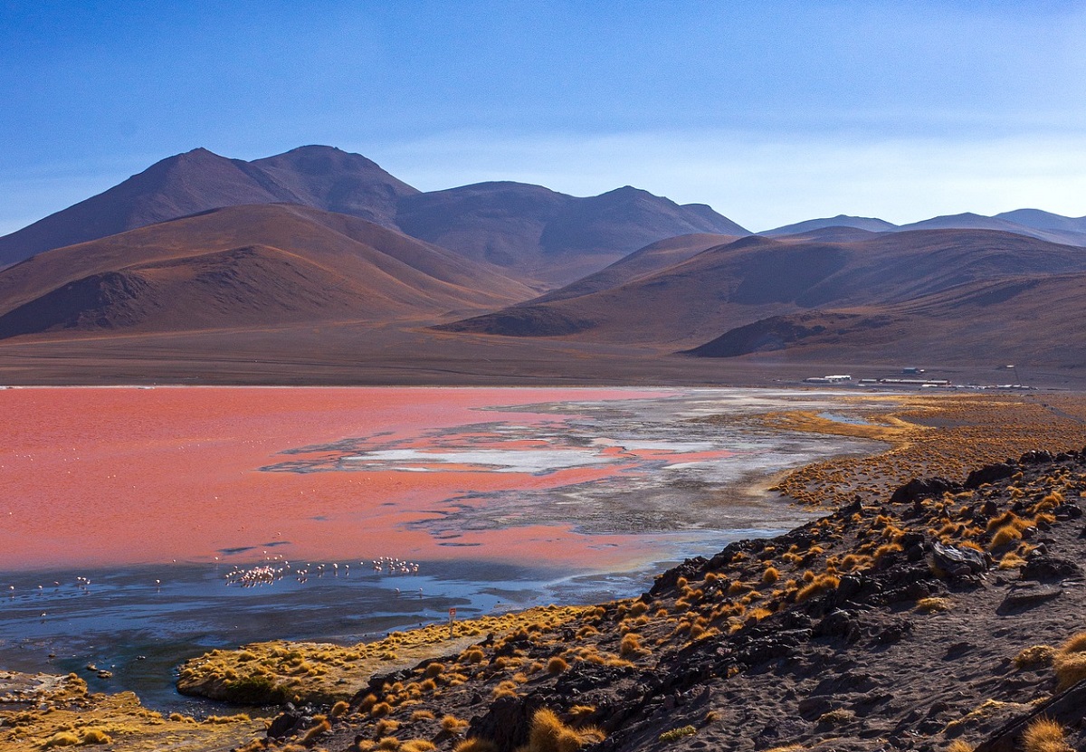 El espectáculo de los lagos rosados: cuando la naturaleza se viste de colores increíbles