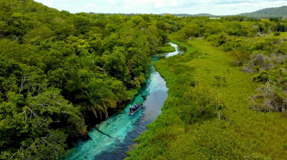 Ecoturismo: los 5 mejores destinos del mundo