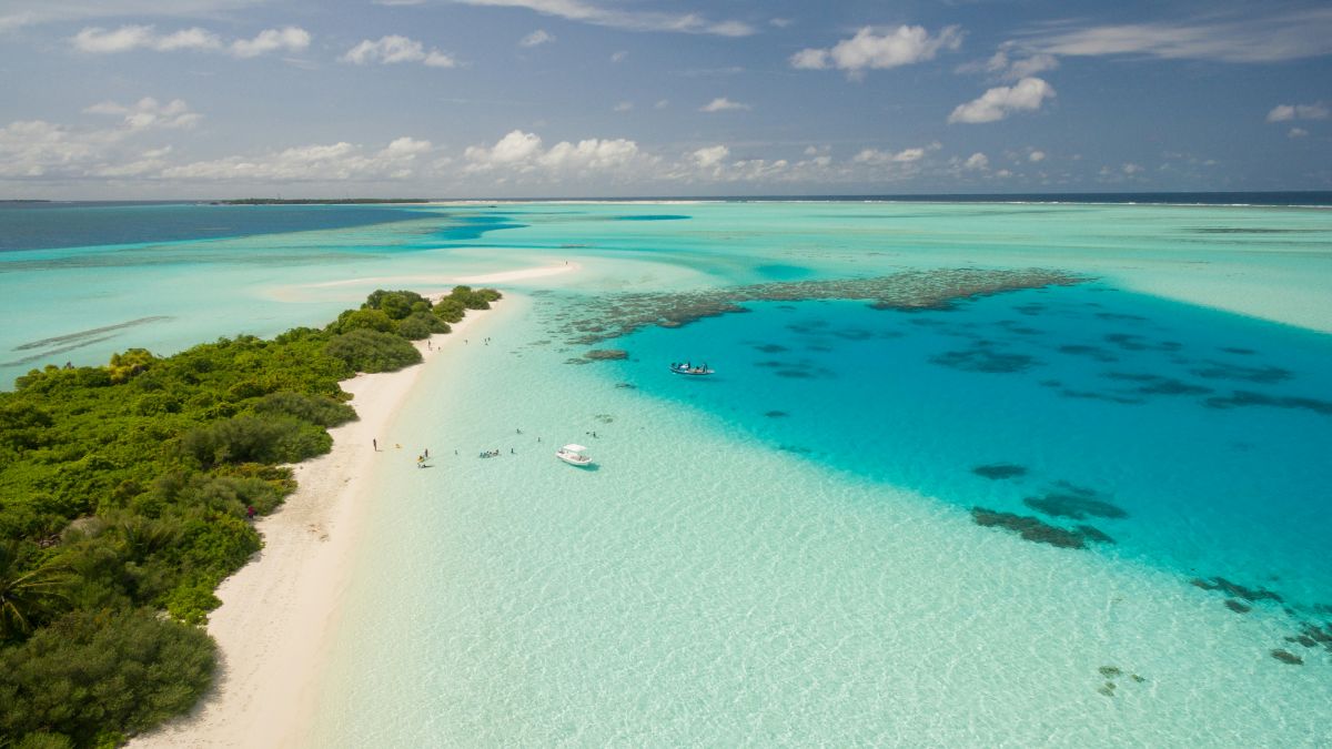 Cómo elegir una agencia de viajes: reglas a seguir
