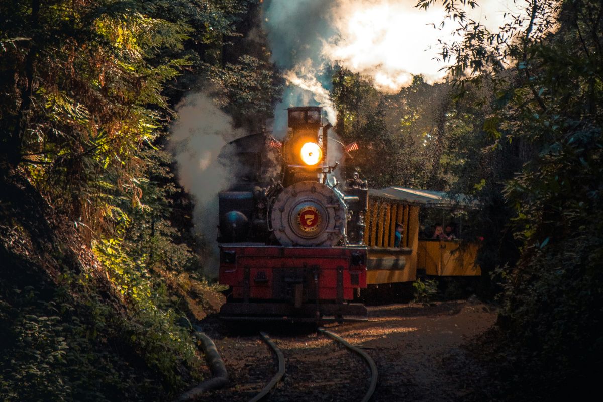 Viajar a México en tren en El Chepe: consejos