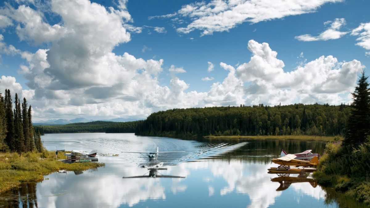 Descubre Talkeetna, con el gato mayor y la torre de 17 pisos