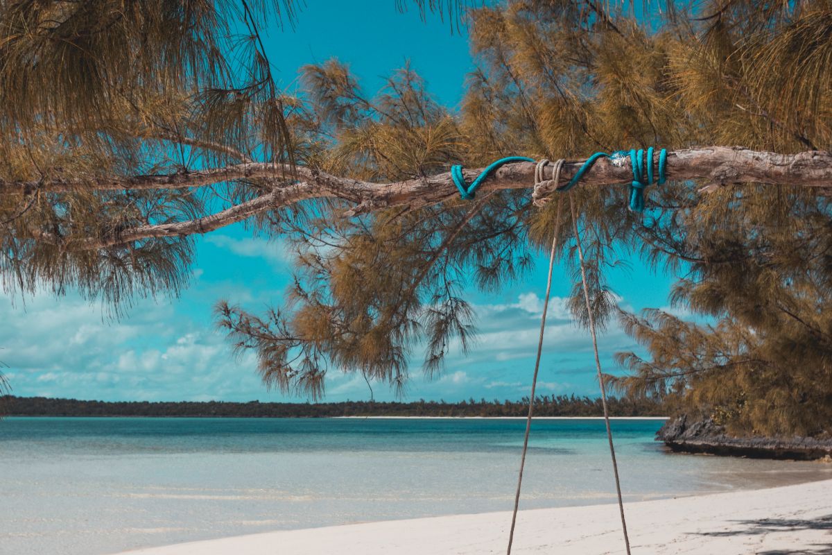 Nochevieja en las Bahamas: ¿qué hacer y ver?