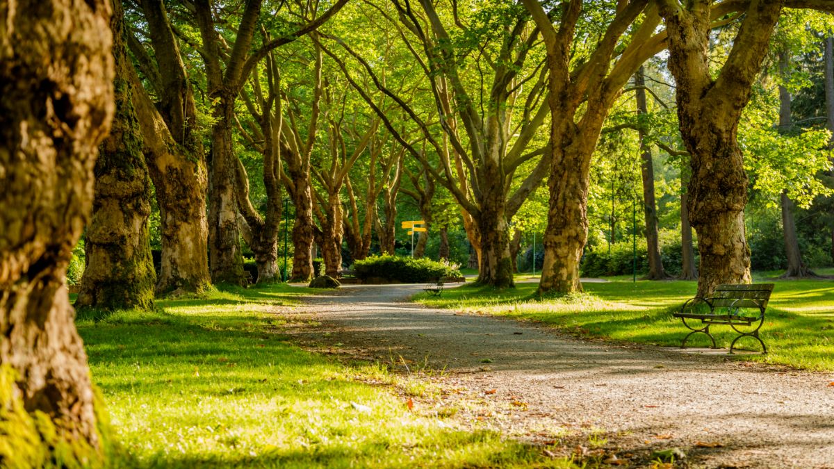 Rhode Island: visita el parque Ninigret con los trolls