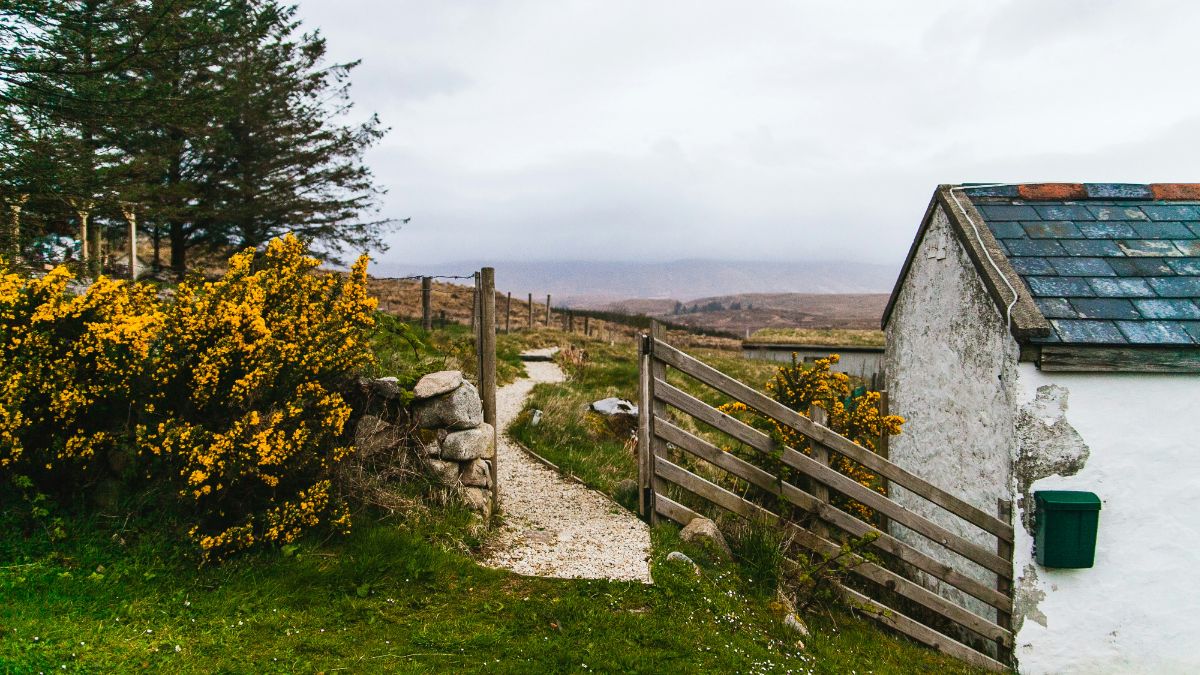 Irlanda, ¡descubre la cabaña de conchas!