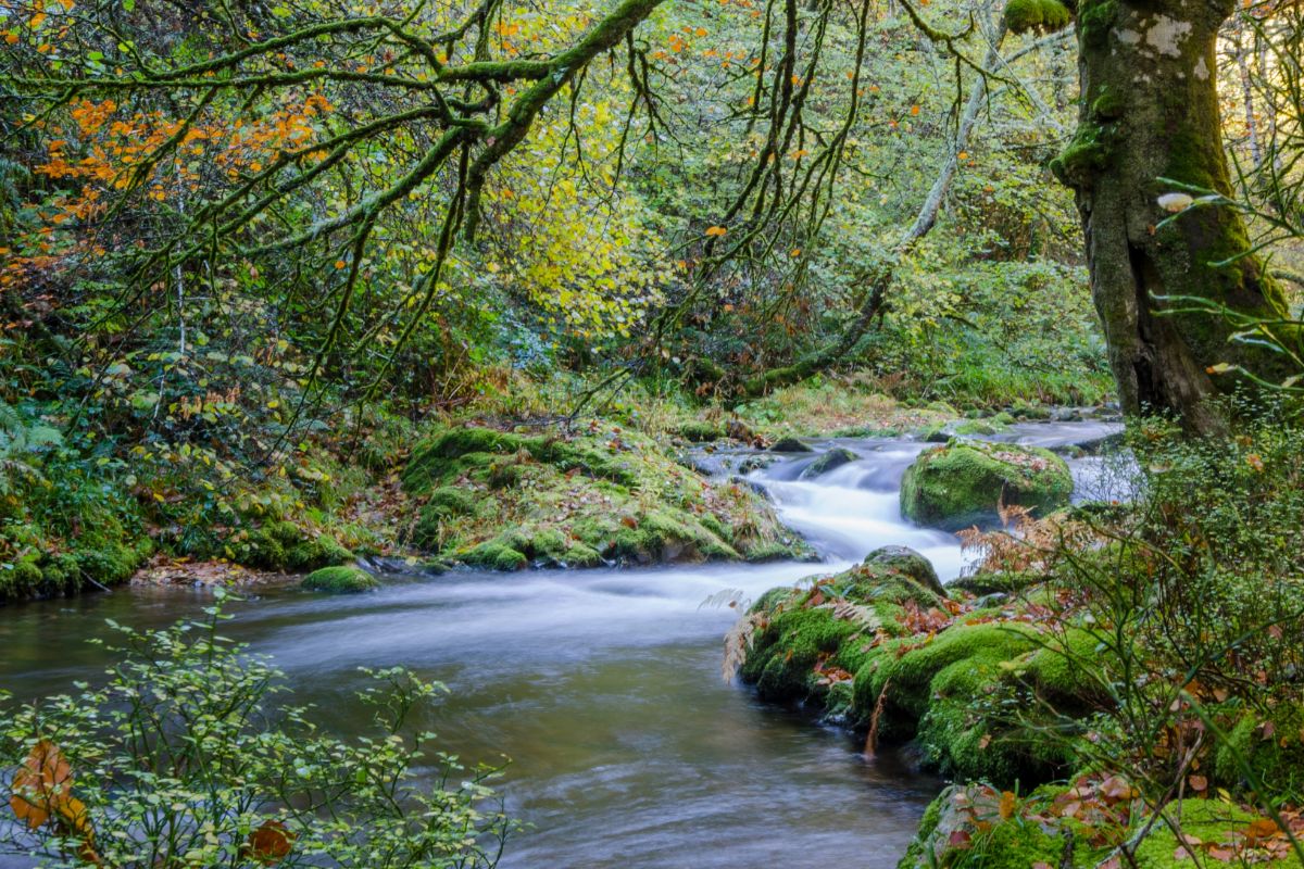 Descubre la España Verde y sus itinerarios