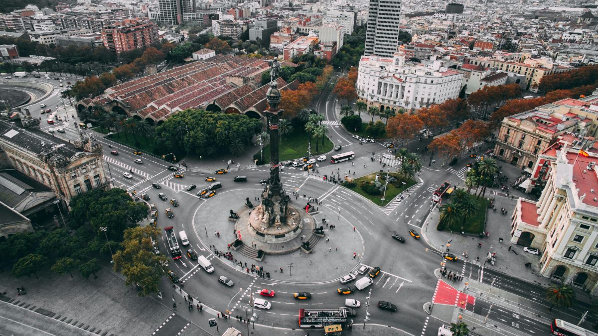 En España está El Oso Verde, todo lo que necesitas saber