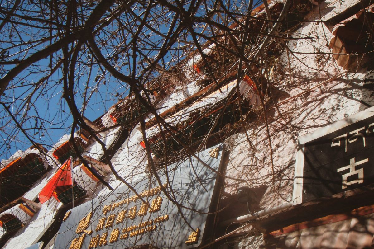 Guía de los monasterios tibetanos: lo que necesita saber