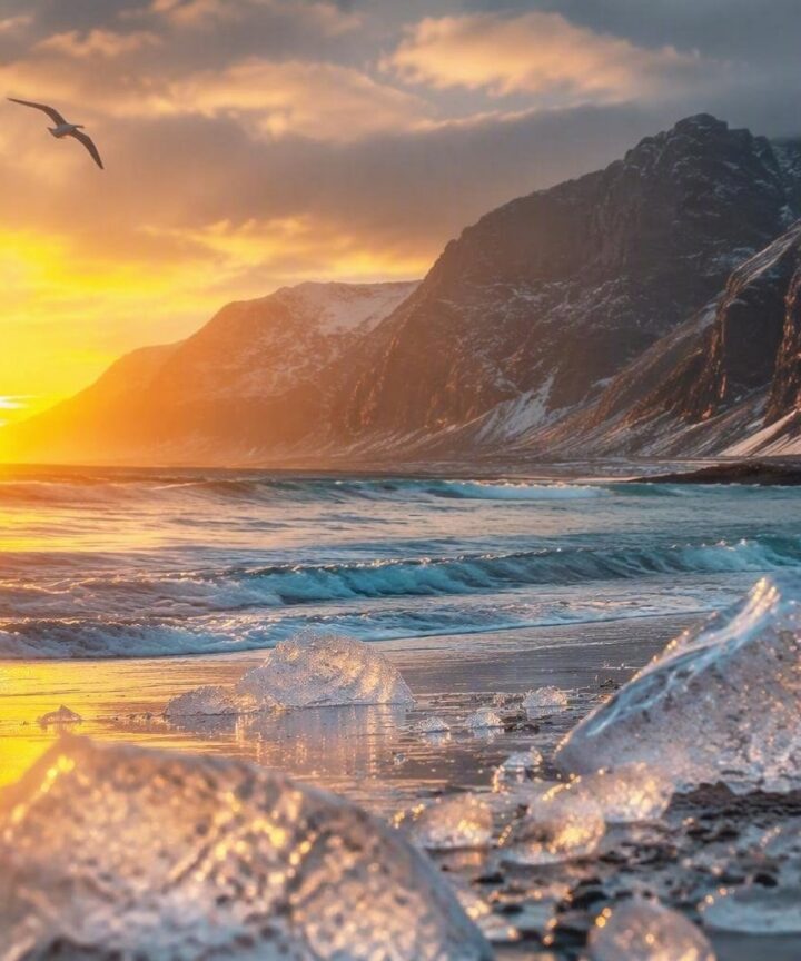 Descubre la playa de Hovdsundet en Noruega, un paraíso entre los hielos