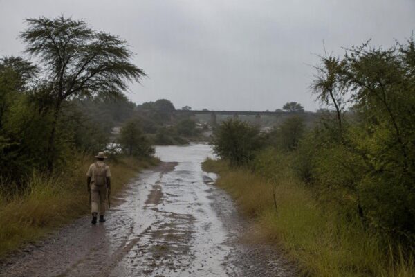 Cómo las inundaciones de 2026 afectaron las carreteras del parque nacional Kruger