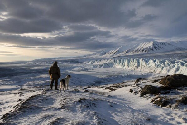 El corazón de la bestia: Brad Pitt y su perro enfrentan los peligros de Alaska