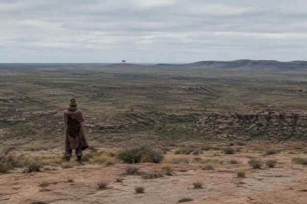 Explorando el Karoo: Aventuras y Sabores en Sudáfrica