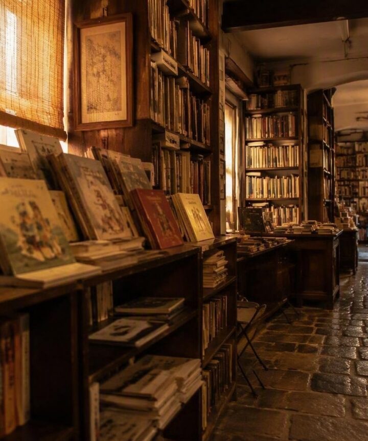 Rosellina Archinto: La vida y legado de una visionaria de los libros para niños