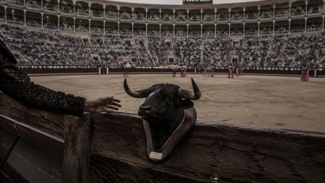 Desafío ganadero en Las Ventas: Pérez Mota, Lamelas y Venegas en acción