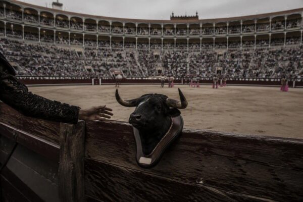 Desafío ganadero en Las Ventas: Pérez Mota, Lamelas y Venegas en acción