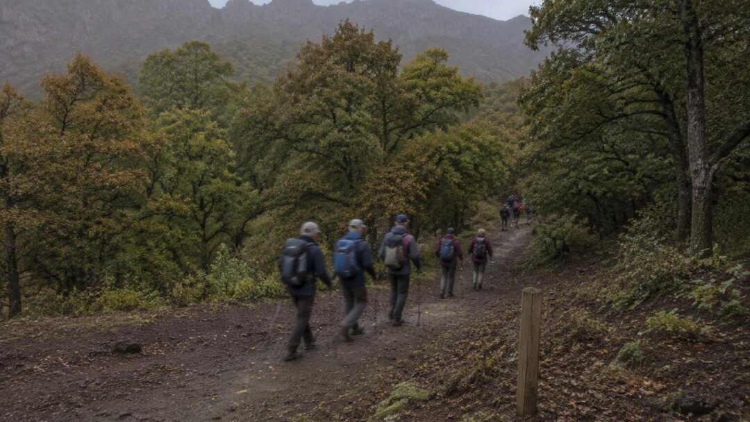 Descubre las 16 rutas guiadas del Festival de Montaña en La Palma
