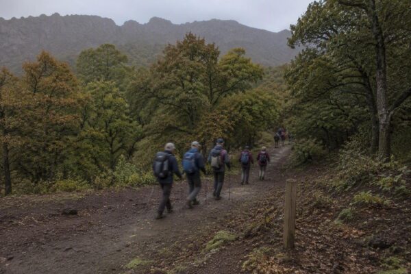 Descubre las 16 rutas guiadas del Festival de Montaña en La Palma