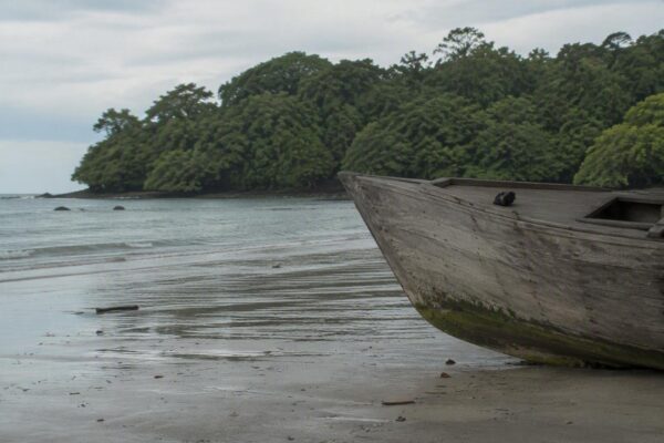 Descubre los secretos de Costa Rica: playas, selvas y más
