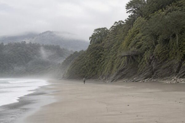 Explora Costa Rica en invierno: playas, selvas y aventuras inolvidables