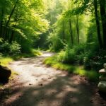 embracing your authentic self a guide to personal growth python 1756954409