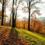 exploring octobers emotional dynamics and cosmic influences a comprehensive guide python 1759115427