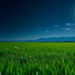 harnessing the transformative energy of new moons in astrology python 1758451848