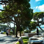 what to expect from big little lies season 3 python 1757723921