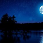 your weekly horoscope navigate the cosmic shifts python 1757245209