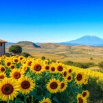 discover the enchanting culture and breathtaking landscapes of sicily 1760170542