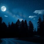 transform your journey with weekly horoscope insights 1765728826