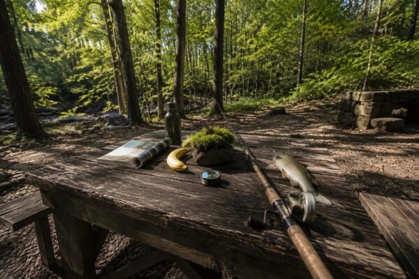 Resolution ties outdoor activity to all pillars of lifestyle medicine