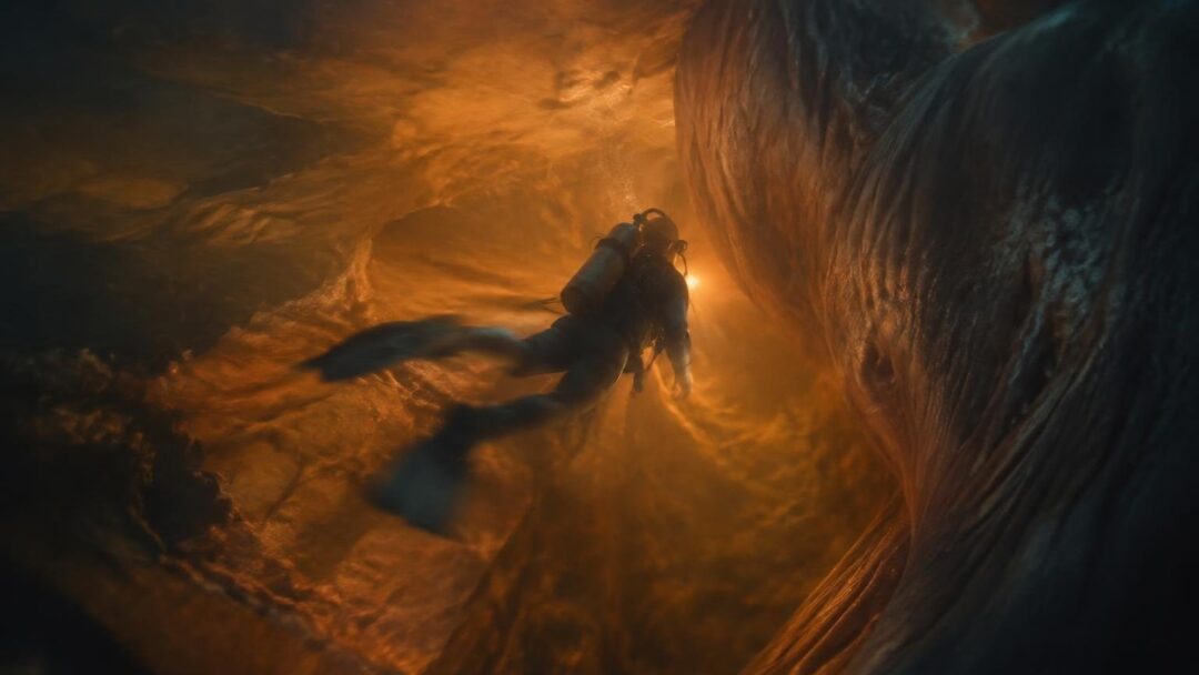 Whalefall movie explained: the science behind being swallowed