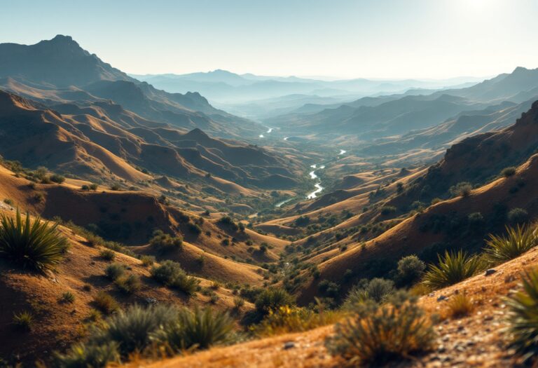 Immagine che rappresenta l'ottimismo in Star Trek: Voyager