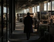 The Last of Us: Naughty Dog annuncia nuovi progetti dopo la terza stagione di HBO